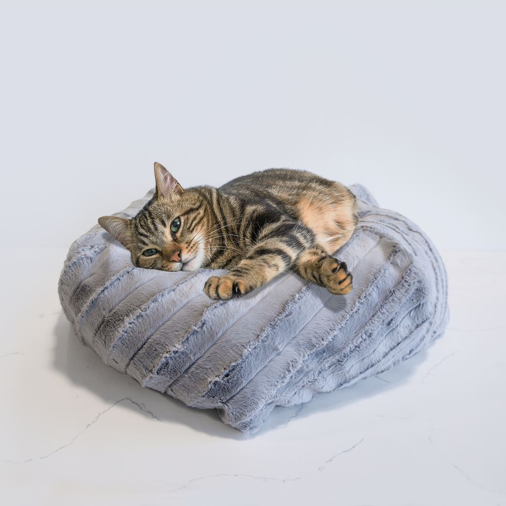 福州新款爱心型猫垫宠物垫